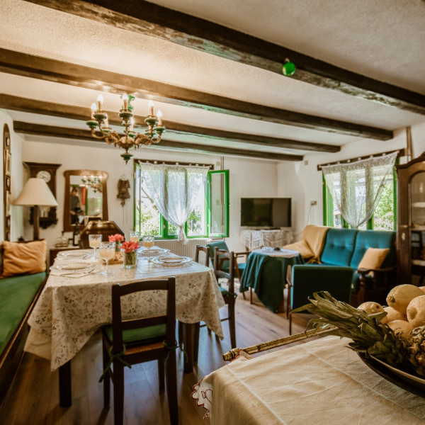 Living room, Šušnjari100, Šušnjari100 – House for Rent near Zagreb